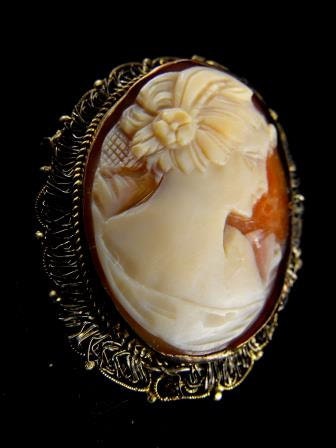Classic Look Cameo Brooch