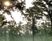 Dawn 5x15 Fine Art Photography Print