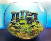 Stonehenge Ancient Ruins - Fantasy Terrarium / Diorama