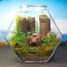 Ewok Terrarium World - Star Wars - Forest of Endor - Return of the Jedi