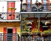 Colors of the French Quarter, 8x12 fine art photography from New Orleans, travel photography