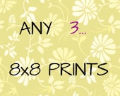 DISCOUNT ANY Three 8x8 Fine Art Prints Set Landscape Nature Still Life Back and White For Her For Him Home Decor