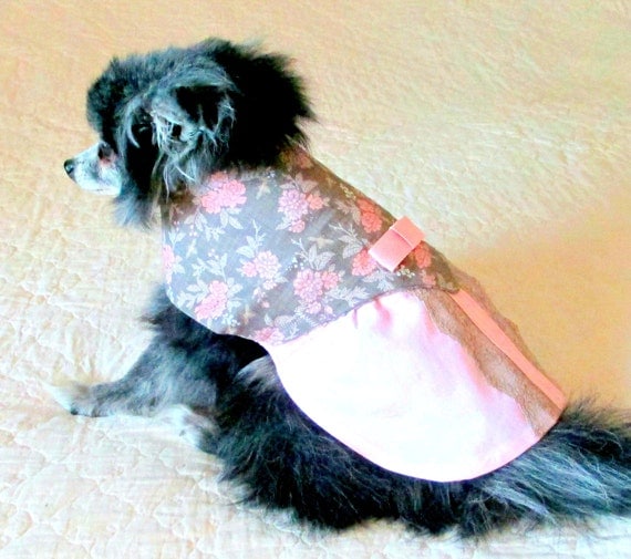 Victorian Dog Dress Toy Breed Made to Order Cotton with Rose and Gray Bodice & Lace and Pink Skirt