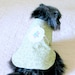 Shih Tzu Dog Dress Green and White Cotton with Stems Print, Flower Applique, Ribbon & Bows