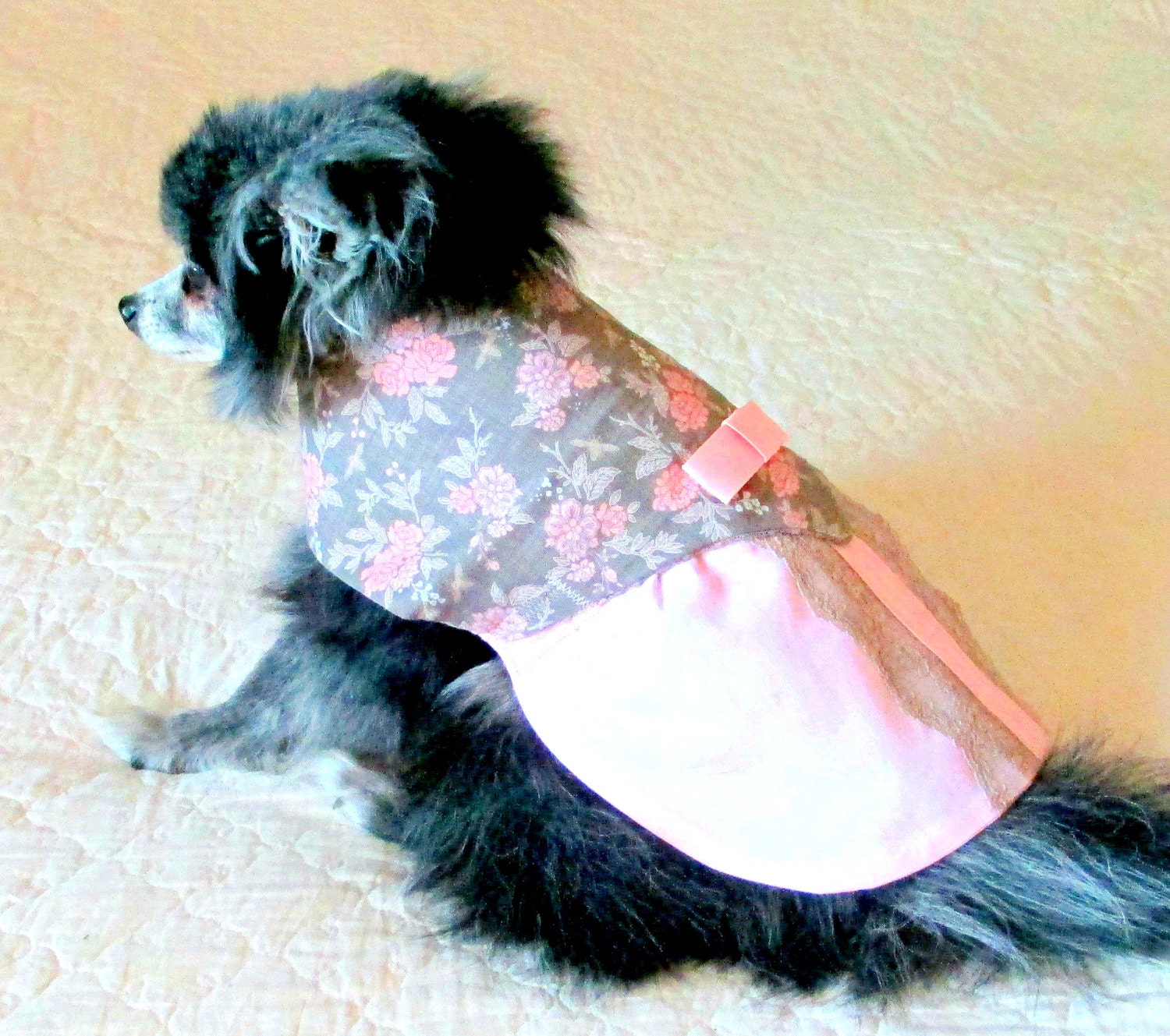 Victorian Dog Dress Toy Breed Made to Order Cotton with Rose and Gray Bodice & Lace and Pink Skirt
