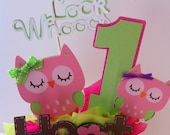 Owl Theme Centerpiece Toppers Set