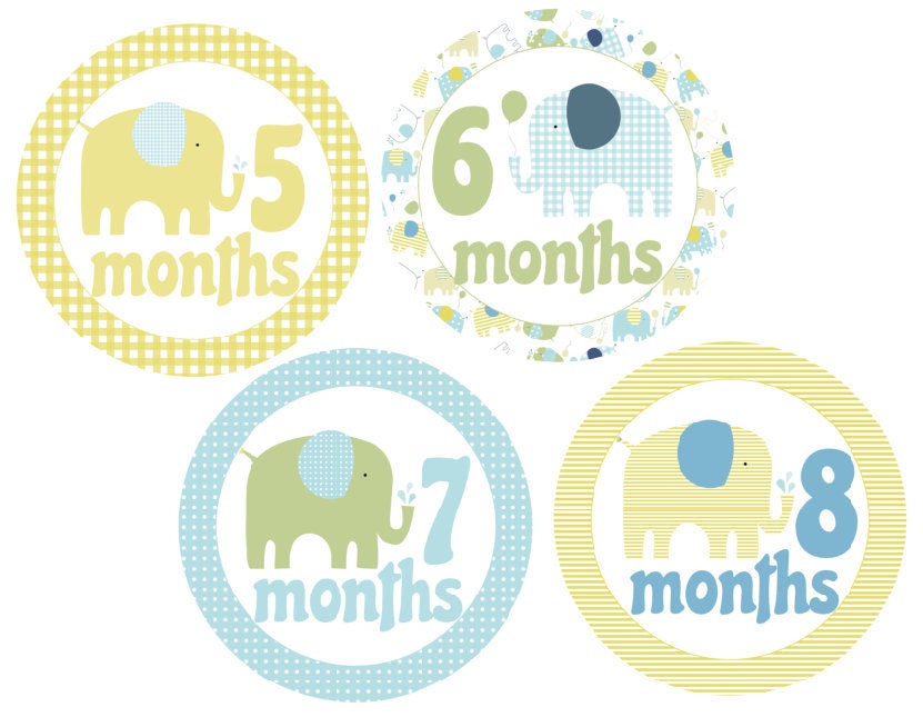 Baby Monthly Onesie Stickers Boy Fun Elephants