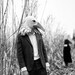 Hand felted seagull animal mask / head dress suitable for performance, dance or theatre