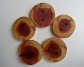 Cedar Tree Branch Buttons. Perfect Accessory for Knitting, Crochet or Jewelry - Set of 5