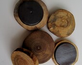 Rustic Wooden Tree Branch Slice Wood Magnets. - Set of 5