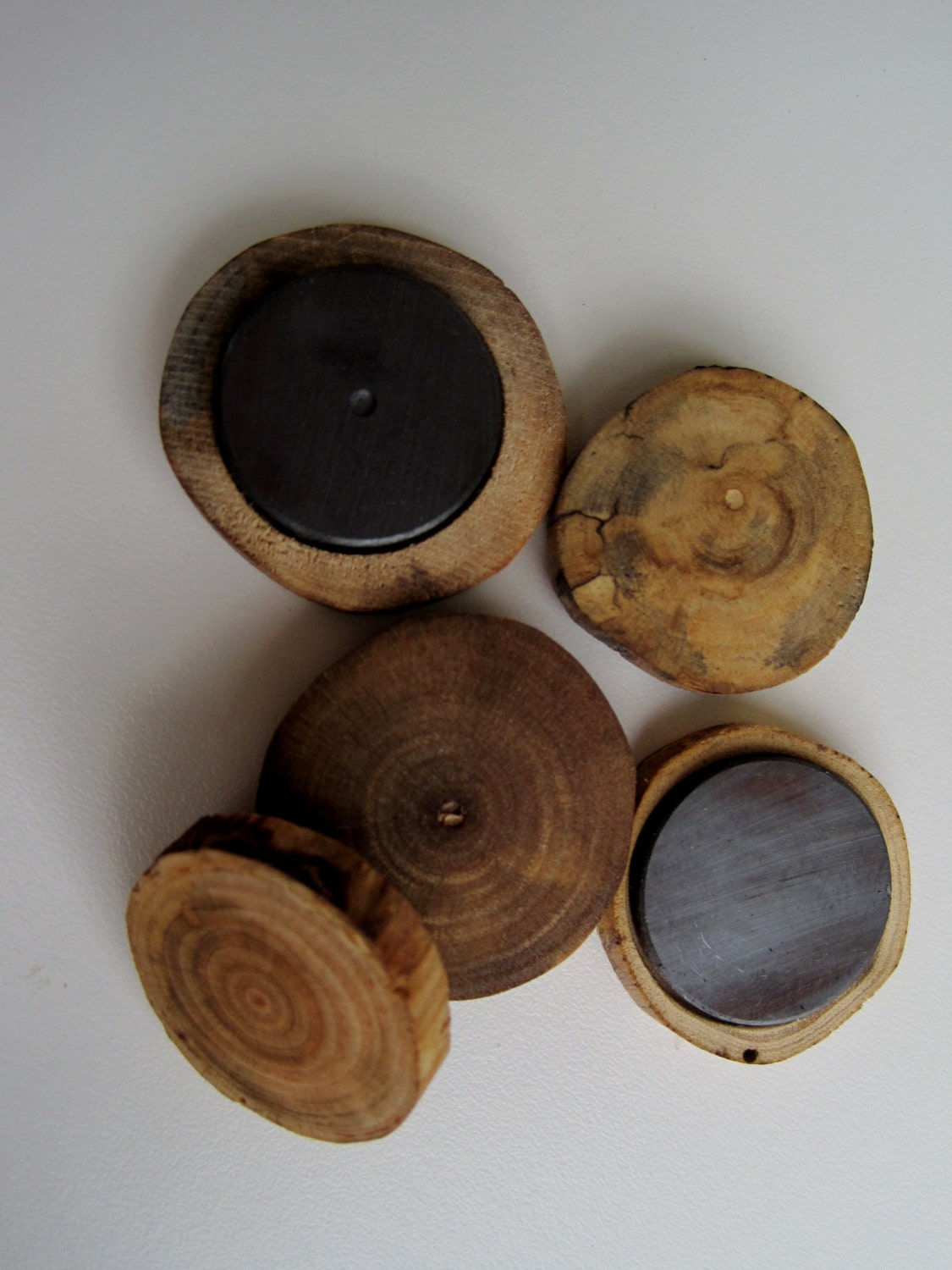 Rustic Wooden Tree Branch Slice Wood Magnets. - Set of 5