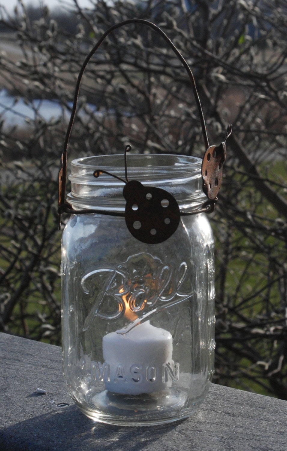 Mason Jar Lantern with Rustic Ladybug Handle