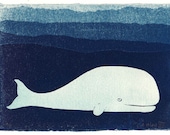 Whale - limited edition cyanotype original print