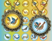 Uftyuzhskaya painting Folk Art birds Circles Digital Collage Sheet 1 inch. Printable round images for pendants cabochon button 187