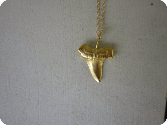 Shark Tooth Necklace