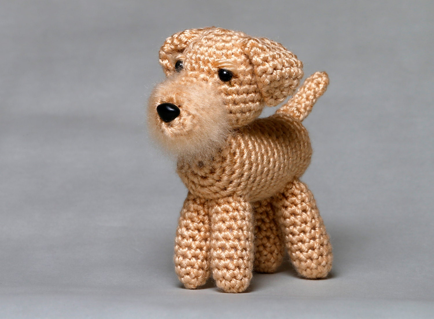 Wheaten Terrier