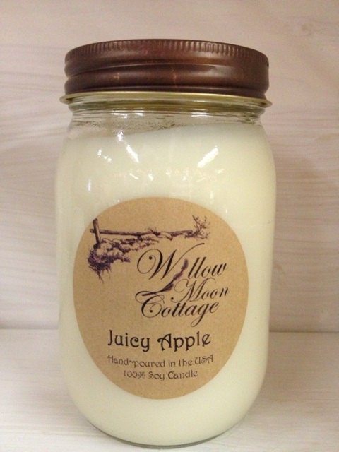 16 ozJelly Jar Soy Candle in Juicy Apple