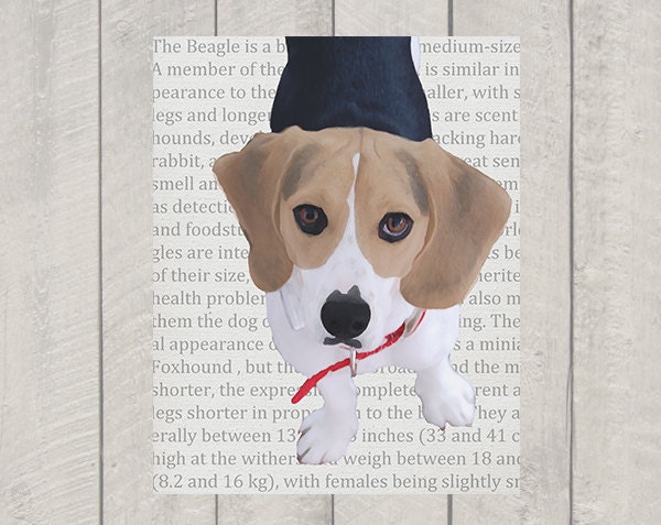 Beagle Art Print - Modern Dog Art - 8x10