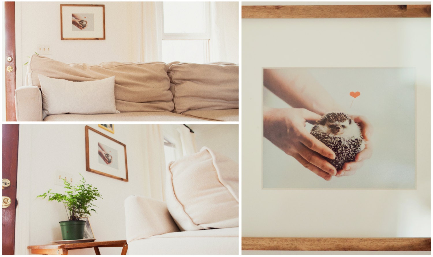 Hedgehog Love 8x10 photographic print