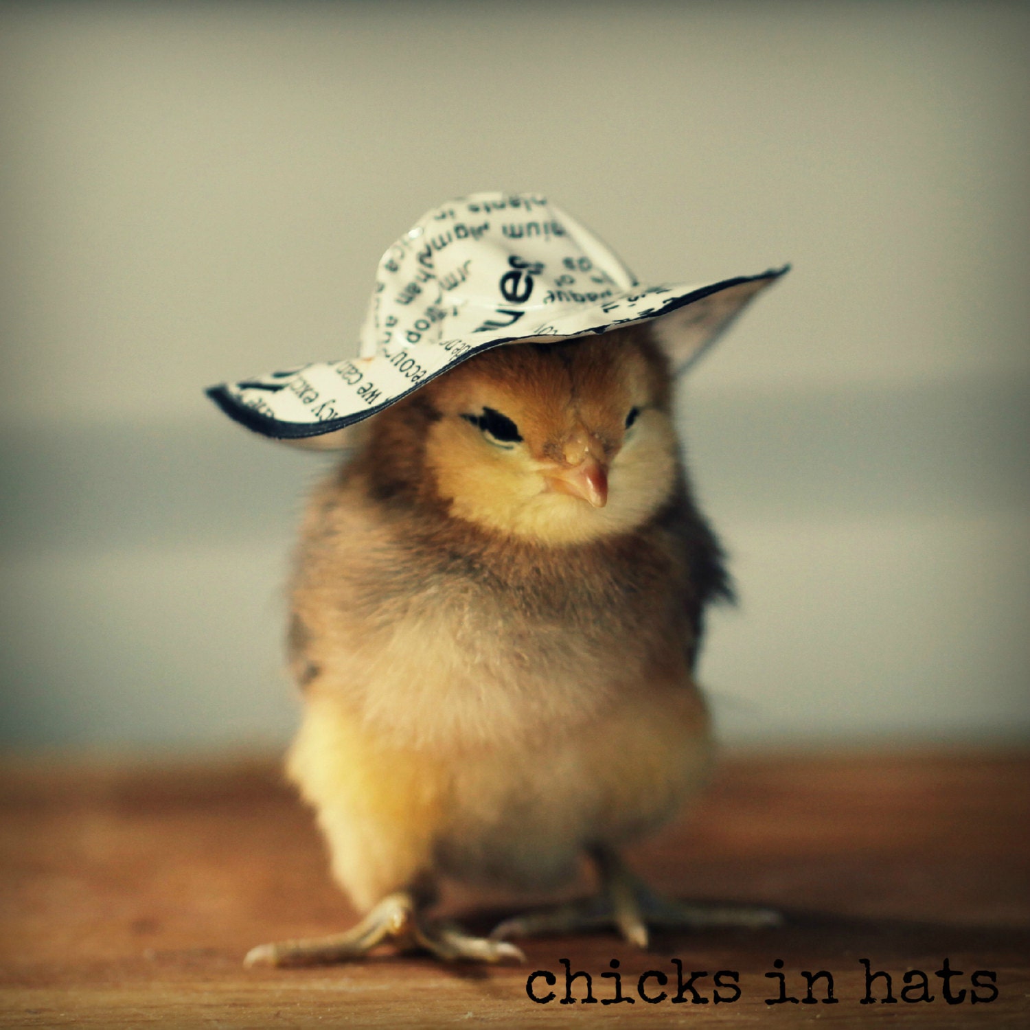 Note Card Chick in Newsprint Hat Folded Photo Greeting Card With Envelope (1)