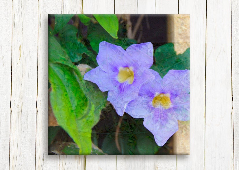 Purple flowers, Floral art prints, 12"x12" 30x30 cm, free shipping