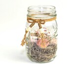 Vintage Ball Mason Jar, DIY Upcycled Natural Beach Scene Kit - Lake Rocks, Moss, Shell - Home Decor, Wedding Accent or Gift Idea - Jar Scape