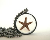 Tiny Starfish Pendant - Real starfish encased in resin with black open back copper bezel - Beach Necklace - Copper Pipe Jewelry