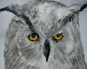 Eagle Owl Fine Art Print from Original Acrylic Painting