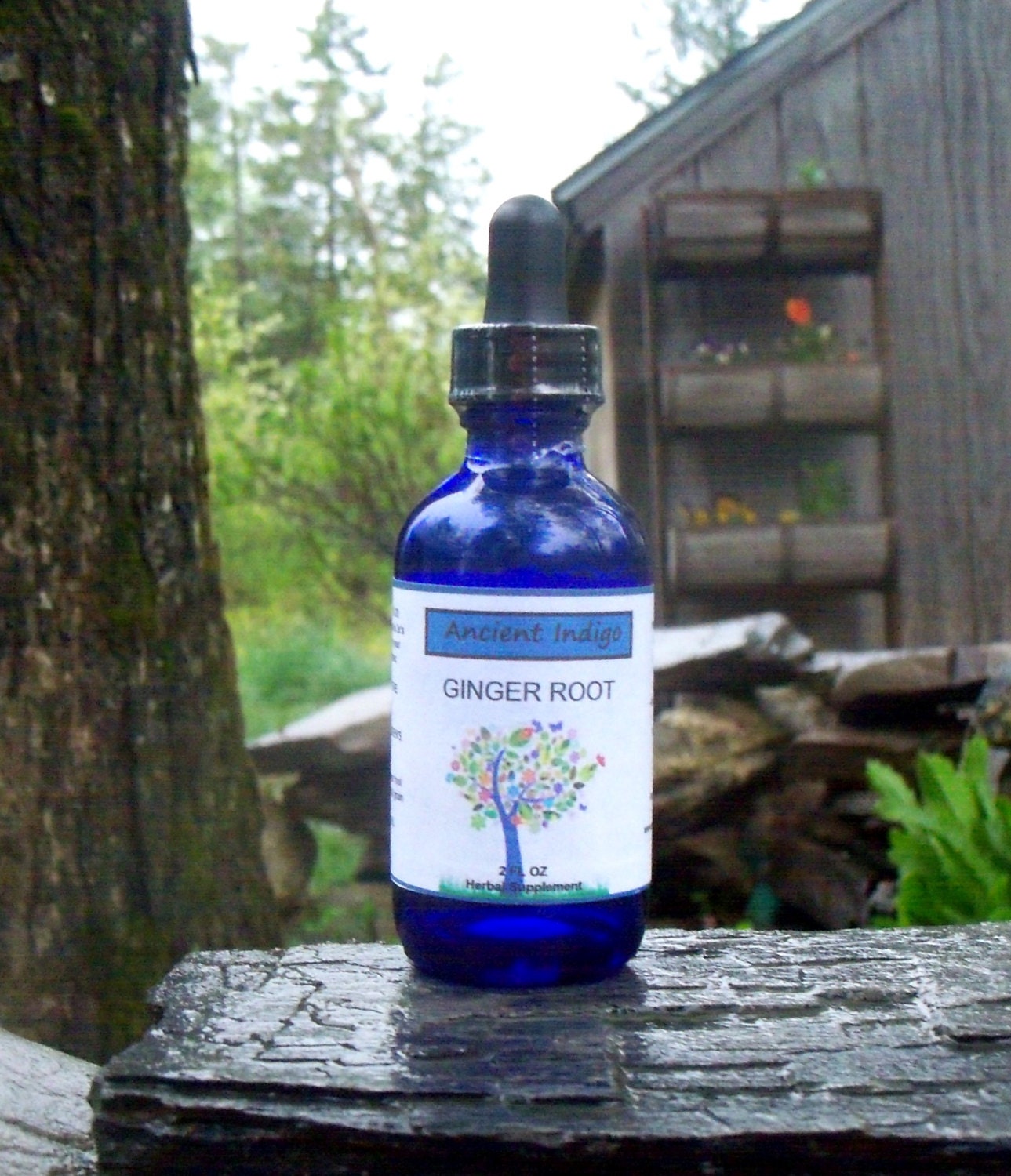 Organic Ginger Root Tincture Herbal Extract 2 OZ