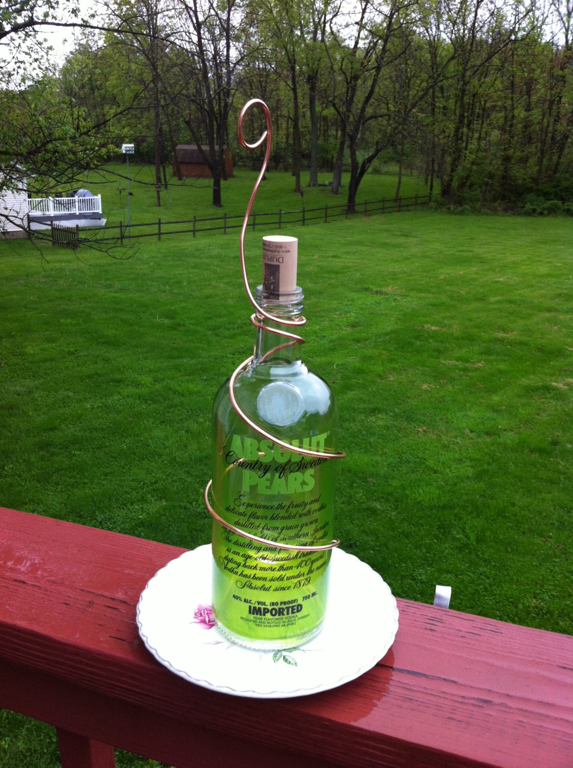 Recycled Absolute Pears Bottle Bird Feeded
