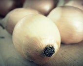 Onion photography 5x7 fine art print food photography sweet yellow onion veggie soft dreamy pale natural food