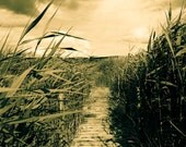 Pathway- Fine Art Photography- Archival paper 8x12