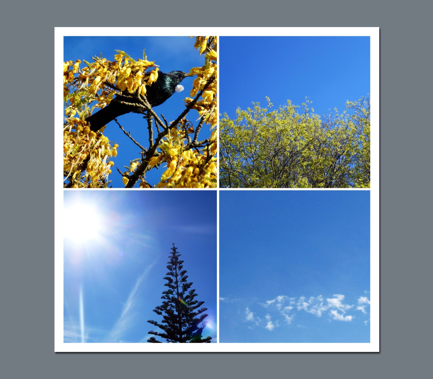 Storyboard, Photographers Template, Digital Template, Photo Collage - 12 x 12 - No.13