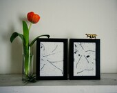 Vintage Science Original Microscope Print - Set of 2 5x7