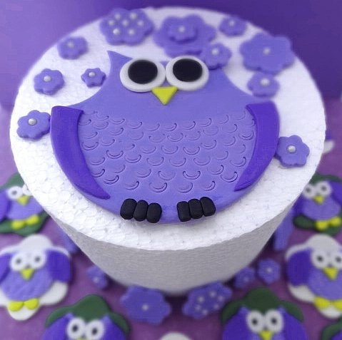 Party Package - Fondant Owls, flowers edible cake decorations/custom name and dozen owl cupcake toppers over 50 piece