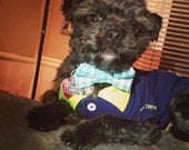 Gingham Small Dog Bow Tie