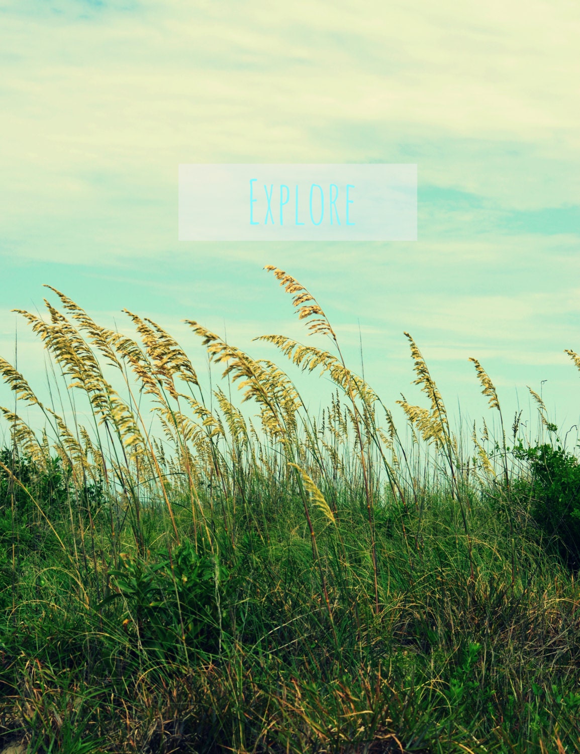 Explore - Fine art nature photography print, Sand dunes, Sea Oats, Blue Sky, Beach, Personalize, Gift, Home Decor, Wall Hanging