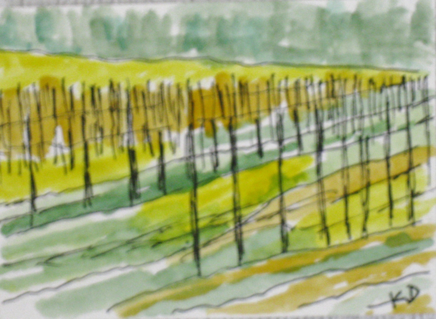 California Landscape Painting, Original Pen and Ink with Watercolor, ACEO art." Sonoma Vineyard with Mustard 2"