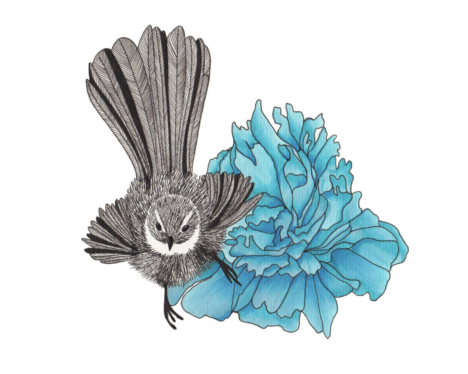 Original Fantail & Blue Flower Drawing 8x10" Unframed
