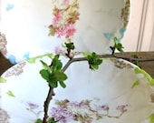 2) Vintage floral berry bowl butter pat dish mint blue  soap dish mismatched china Housewares home decor serving  cottage
