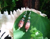 Magnesite turquoise and Jasper earrings