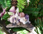Crystal Garden Positive Energy Center creates Harmony