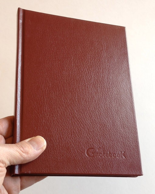 Case for iPad mini (burgundy cover), looks just like a book (Gnotebook Jr)