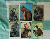 Set 6 vintage Soviet pocket calendars theme Monkeys. Colorful nature collectible mixed media ephemera Made in Russian USSR era 1990's