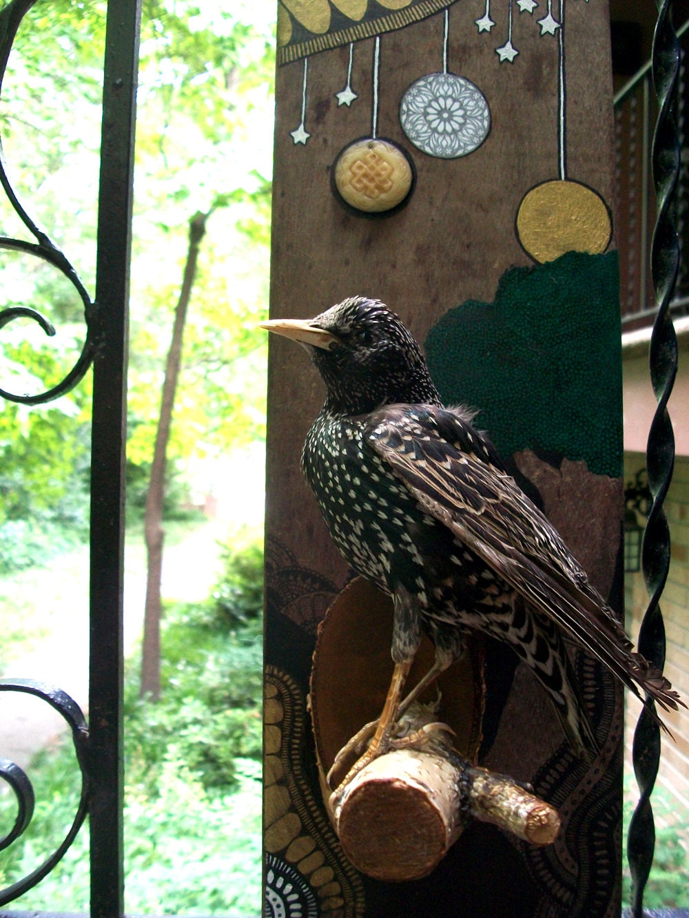 Taxidermy Starling Mixed Media Original on Wood Board, Bird