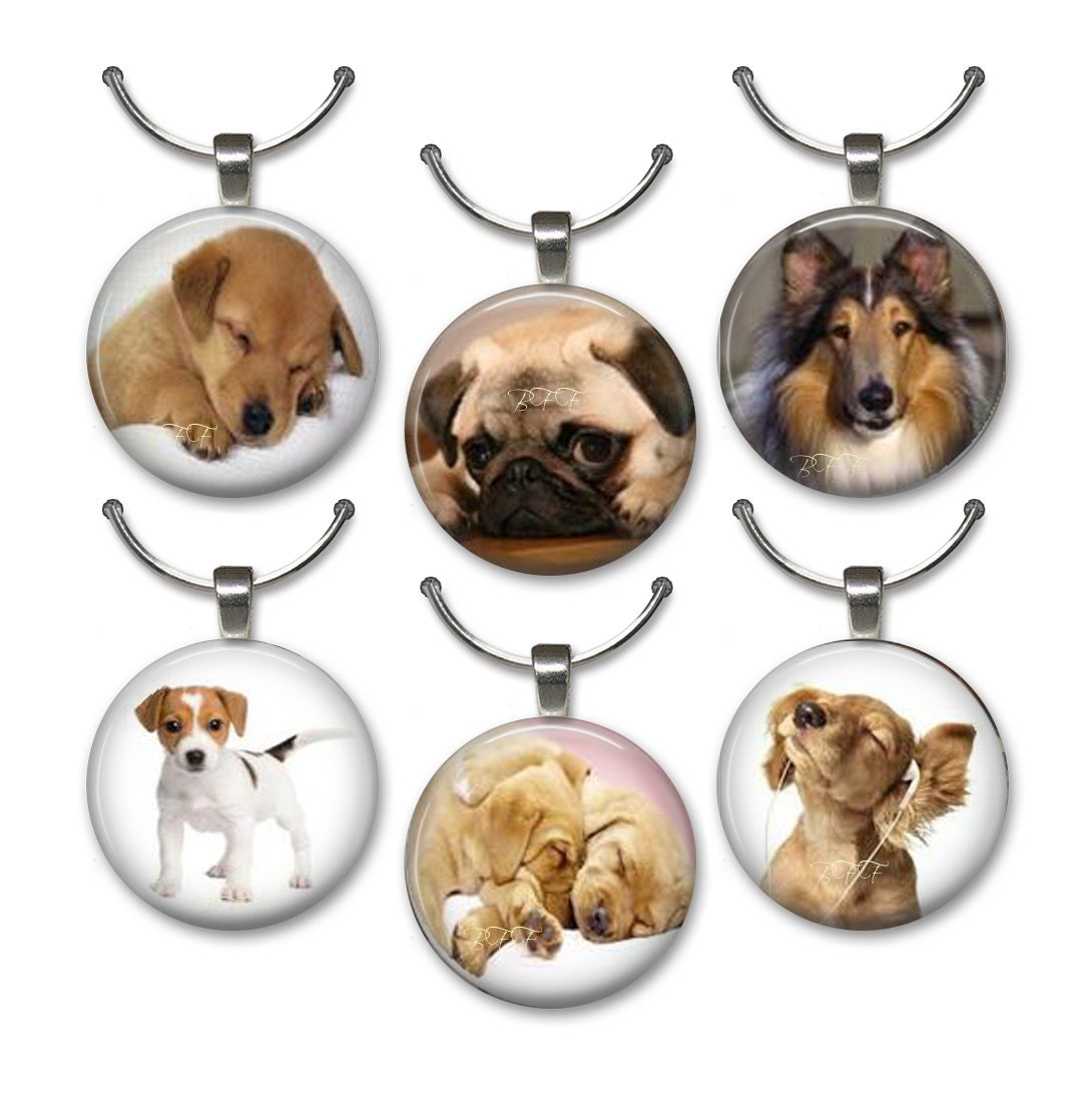 Dog Lovers Wine Charms, Dog Photo Wine Charms, Non Breakable Wine Charms, For the Dogs Wine Charms, Entertaining, Hostess Gift, Under 15