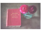 paris book ranunculus color photo print - whimsical fine art still life photography, dream, pink, red, adventure, flower - 14x11