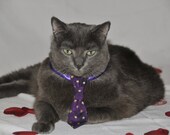 Wizard Neck Tie (purple with gold stars)