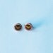 Wonder Woman Logo Earrings