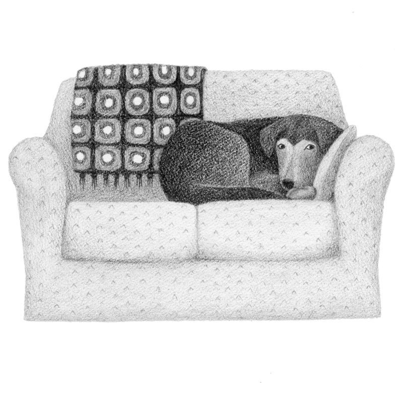 Dog on the Sofa - 4x6 fine art print - Dog art